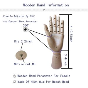 Articulated Wooden Hand - Open Palm (Female), Natural Beech Wood, Size Parameter Diagram, M8 Nut Mount, European Beech Wood Dimensions