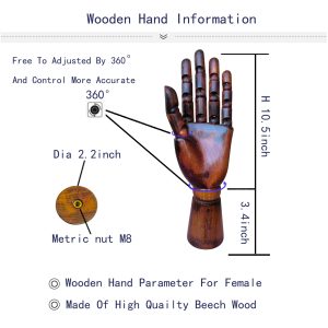 Articulated Wooden Hand - Open Palm (Female), Vintage Style, Natural Beech Wood, Size Parameter Diagram, M8 Nut Mount, Antique Finish Dimensions