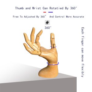 Female articulated wooden hand with 360° rotatable thumb and wrist, flexible finger movement for product display