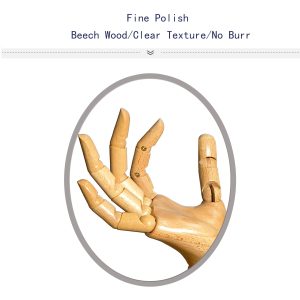 Close-up of female articulated wooden hand, fine polished beech wood with clear texture and no