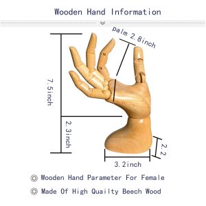 Female articulated wooden hand dimension diagram, made of high-quality beech wood, with detailed size measurements