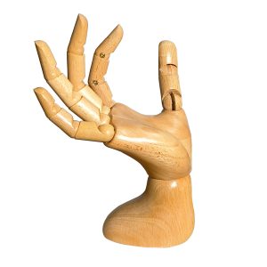 Articulated female wooden hand model with open palm design, easy to hold products for display