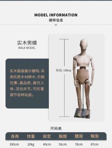 Male Beech Wood Mannequin, Size Specification, 190cm Height, Articulated Joints