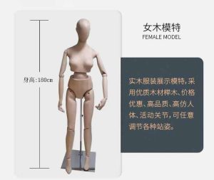 Female Beech Wood Mannequin, 180cm Height, Articulated Joints, Clothing Display