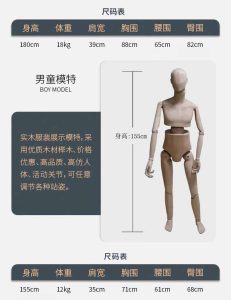 Boy's Beech Wood Mannequin, Size Specification, 155cm Height, Articulated Joints
