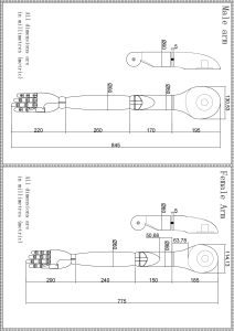 Male & Female Wooden Mannequin Arm Dimension Drawing, All dimensions are in millimetres (metric)