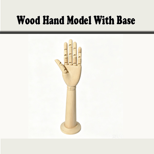 Wood Hand Model With Stable Base