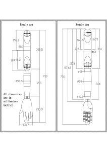 Female Wooden Mannequin Arm 2D Drawing, Size Specification Diagram, Customizable