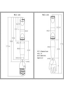 Male wooden mannequin arm dimension drawing in millimeters, custom size available